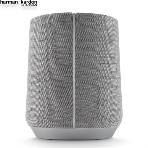 Loa Harman Kardon Citation 300 2